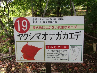 w004438raikouji2-2