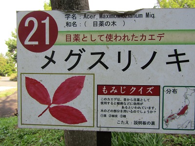 w004438raikouji3-1