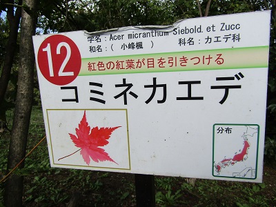 w004438raikouji5