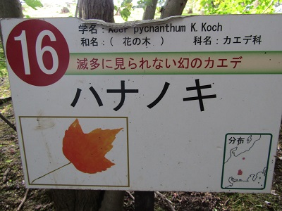 w004438raikouji7-1