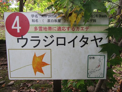 w004438raikouji8-1
