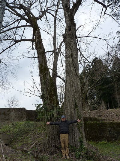 w004438tukanoyama