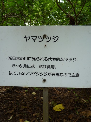 w004442hatae10-2