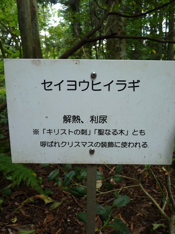 w004442hatae11-2