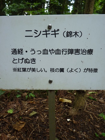 w004442hatae12-2