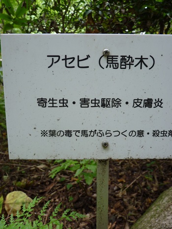 w004442hatae13-3