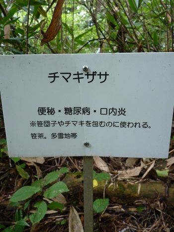 w004442hatae14-1