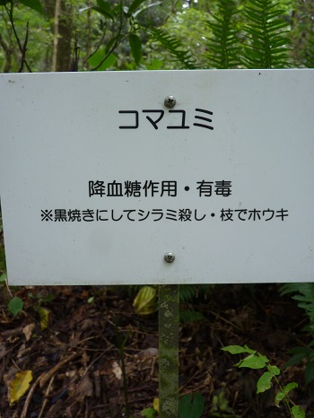 w004442hatae15-2