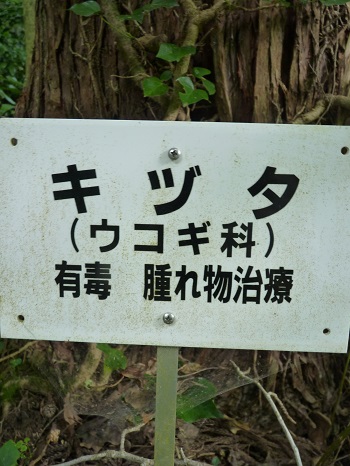 w004442hatae17-2