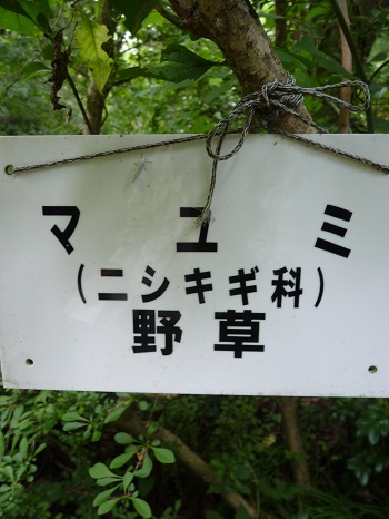 w004442hatae22-3