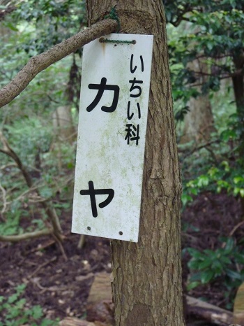 w004442hatae23-2