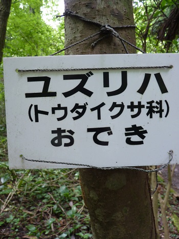 w004442hatae26-2