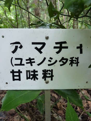 w004442hatae27-2