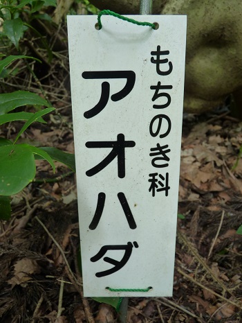 w004442hatae28-2