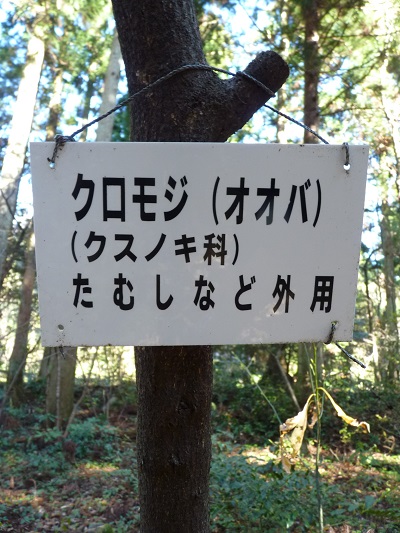 w004442hatae31
