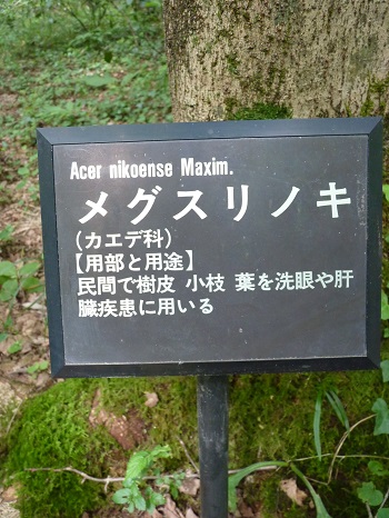 w004442hatae34-3