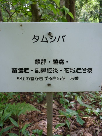 w004442hatae36-3