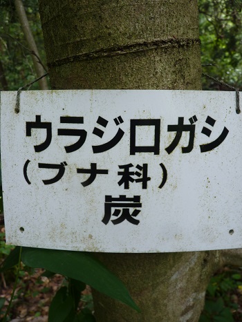 w004442hatae39-3