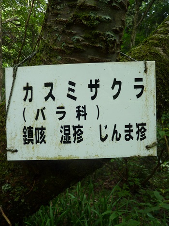 w004442hatae40-2