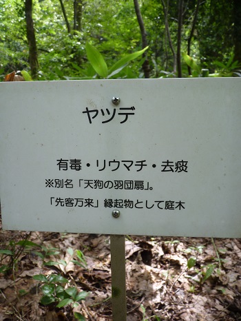 w004442hatae41-2