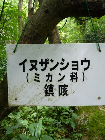 w004442hatae42-2