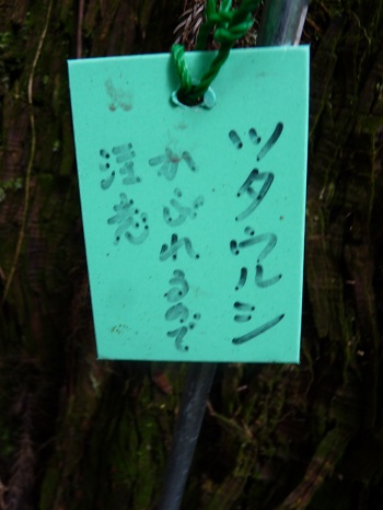 w004442hatae47-2
