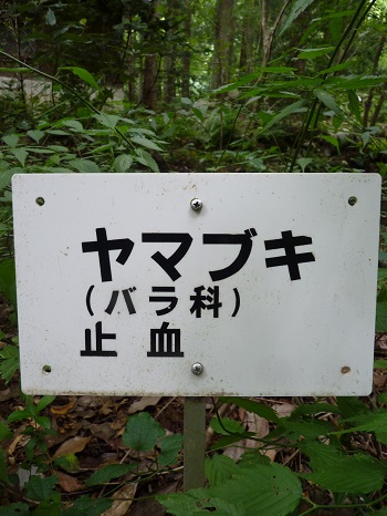 w004442hatae49-2
