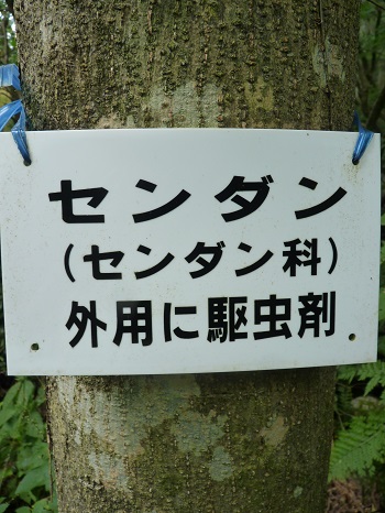w004442hatae58-2