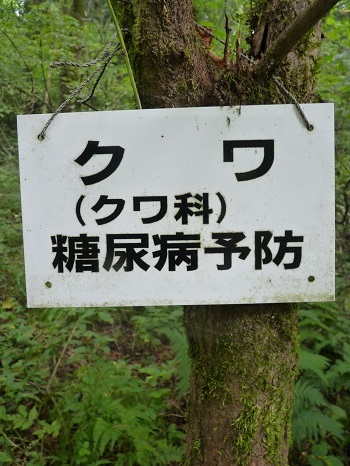 w004442hatae60-2