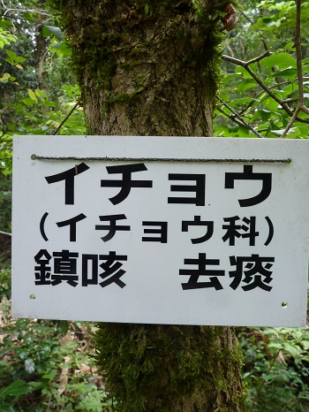 w004442hatae61-1
