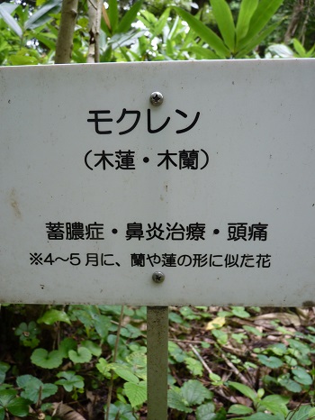 w004442hatae62-2