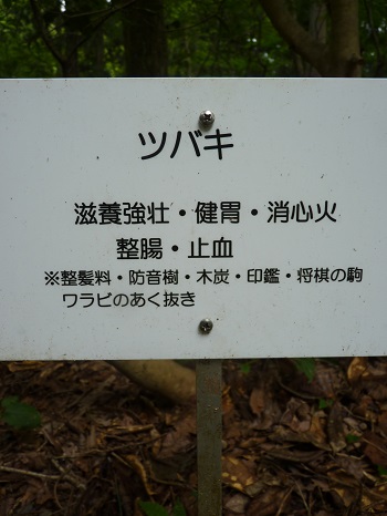 w004442hatae70-3