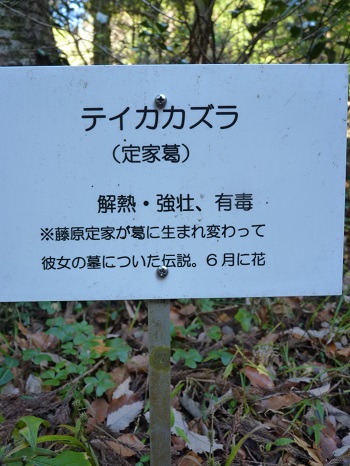 w004442hatae78-2