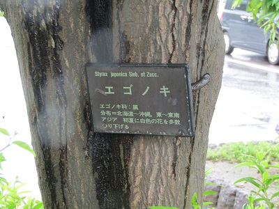 w004445gakkoumati22-2