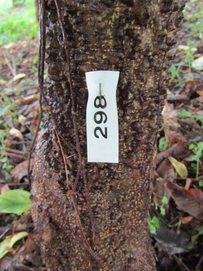 w004445kaname22-2