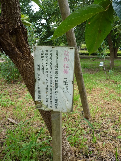 w004445sensyuu43-2
