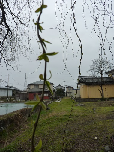 w004446mikkaiti-2