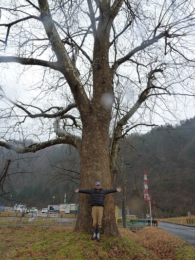 w004448tunogami