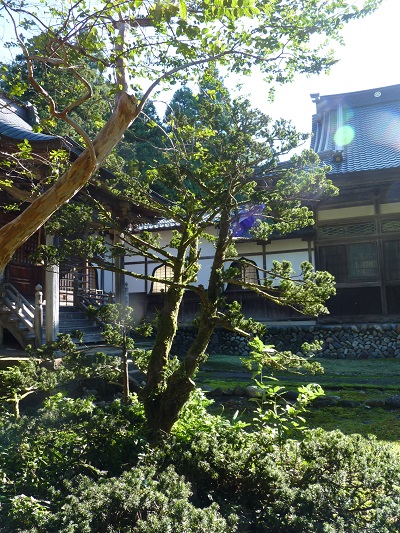 w004449higasioosaki30