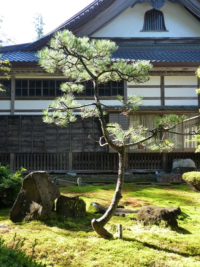 w004449higasioosaki42