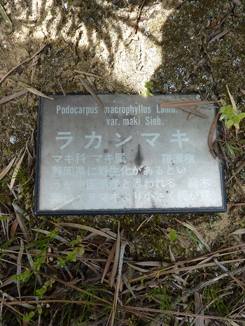 w004449honai12-2