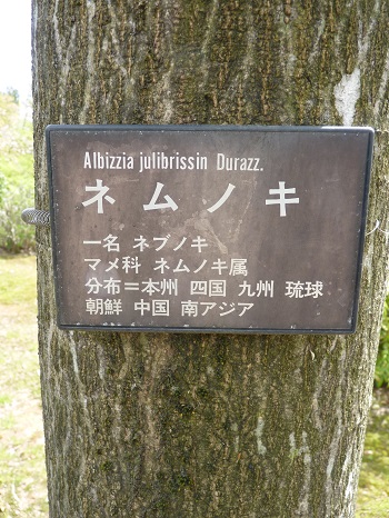 w004449honai27-1