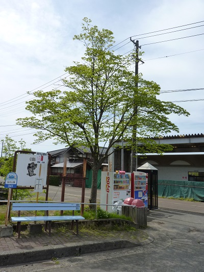 w004449honai40