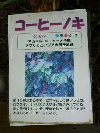 w004449honai45-2