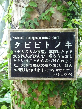 w004449honai47-2