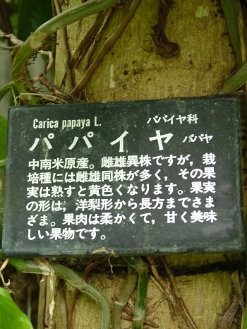 w004449honai49-1