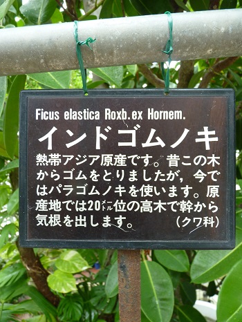 w004449honai53-2