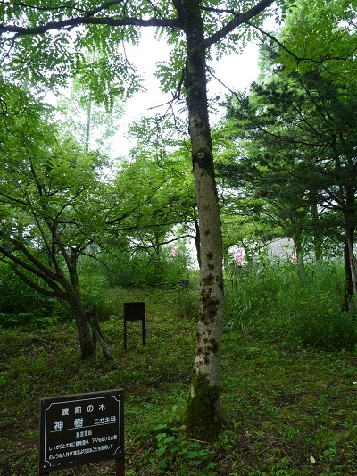 w004452yada3