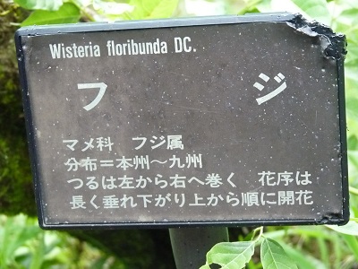 w004452yada8-1