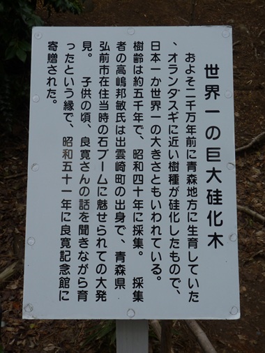 w004454komeda1-1